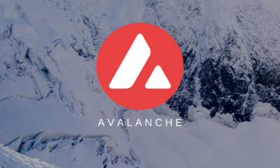 Avalanche (AVAX) nedir